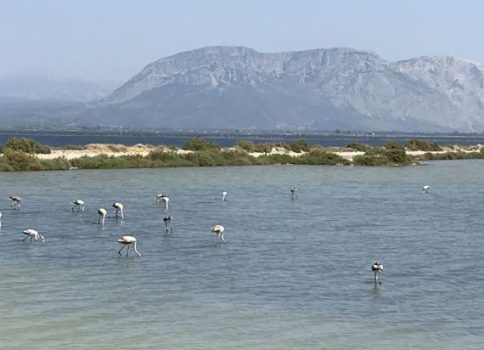 Ostrvo Turlida - Misolongi, Grčka