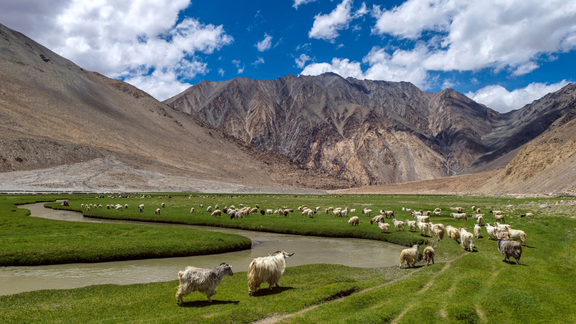 Read more about the article Turistička destinacija Ladakh, Indija