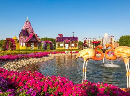 Posetite Dubai Miracle Garden