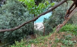 Read more about the article Plaža Horefto – Pelion Grčka