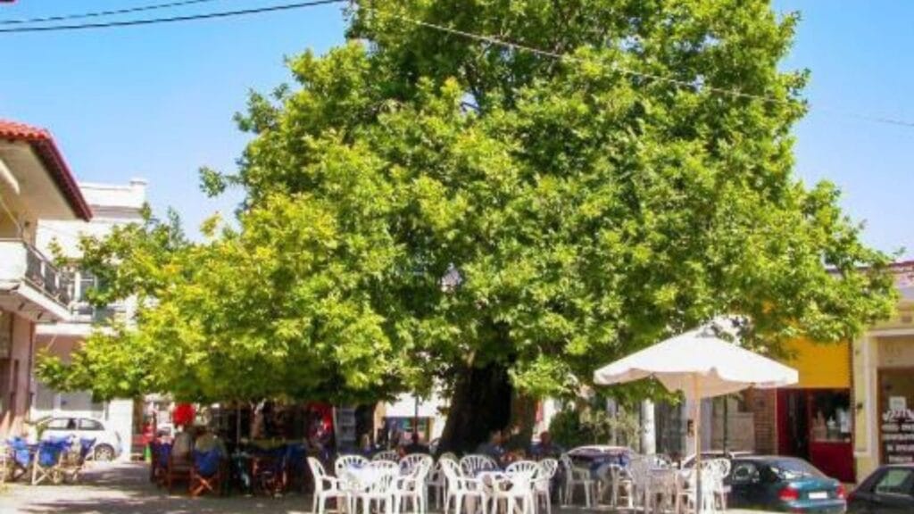 Kasandrija – srce poluostrva Kasandra