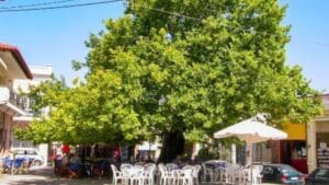 Read more about the article Kasandrija – srce poluostrva Kasandra