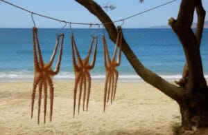 Read more about the article Plaže ostrva Paros – kompletan vodič