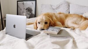 Read more about the article Smeštaj na Zakintosu – Gde odsesti za savršen odmor