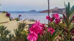 Read more about the article Gde se kupati na Lerosu | Najlepše plaže ostrva