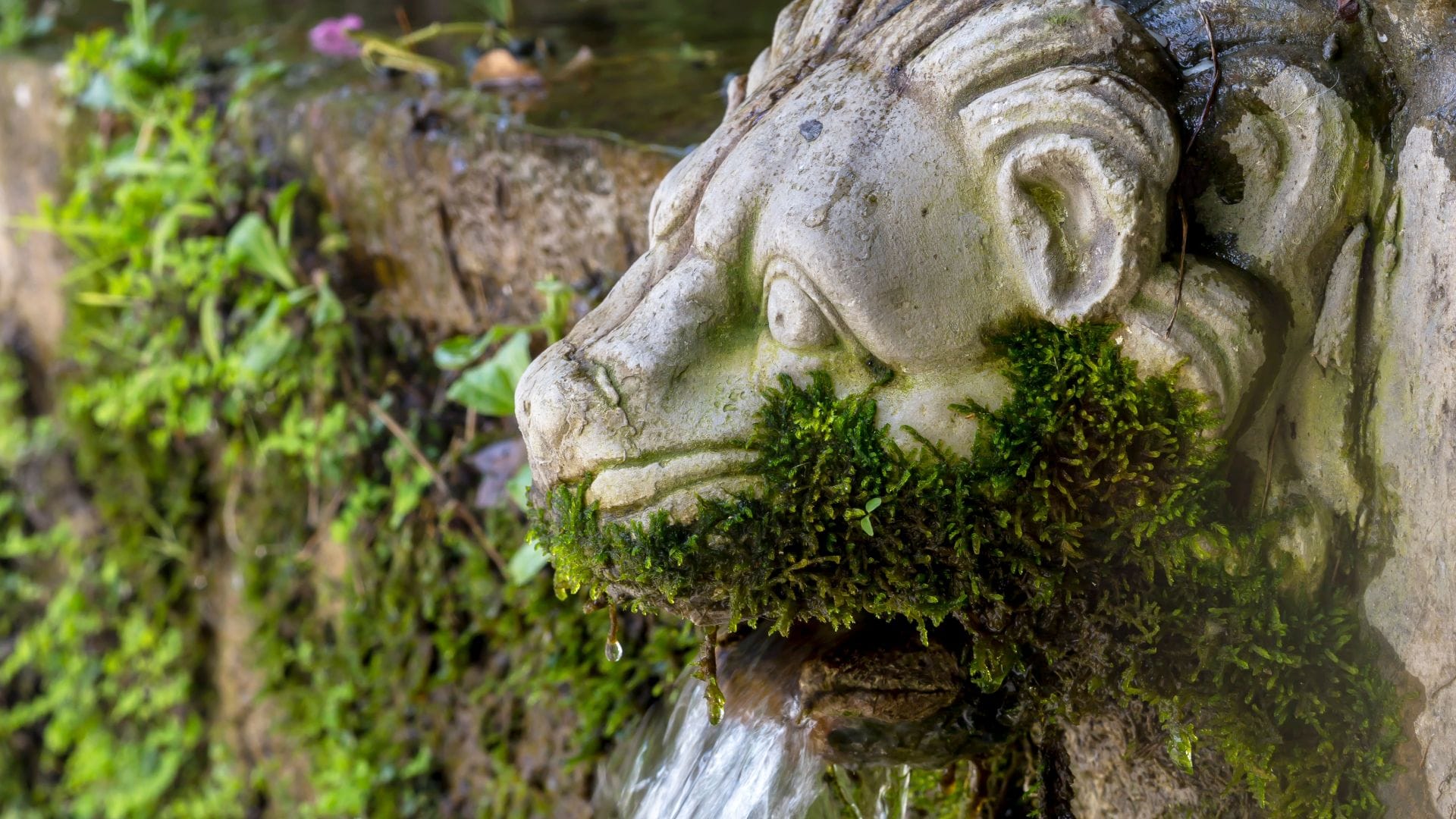 Read more about the article Ostrvo Andros Kikladi – Najbolje znamenitosti i atrakcije