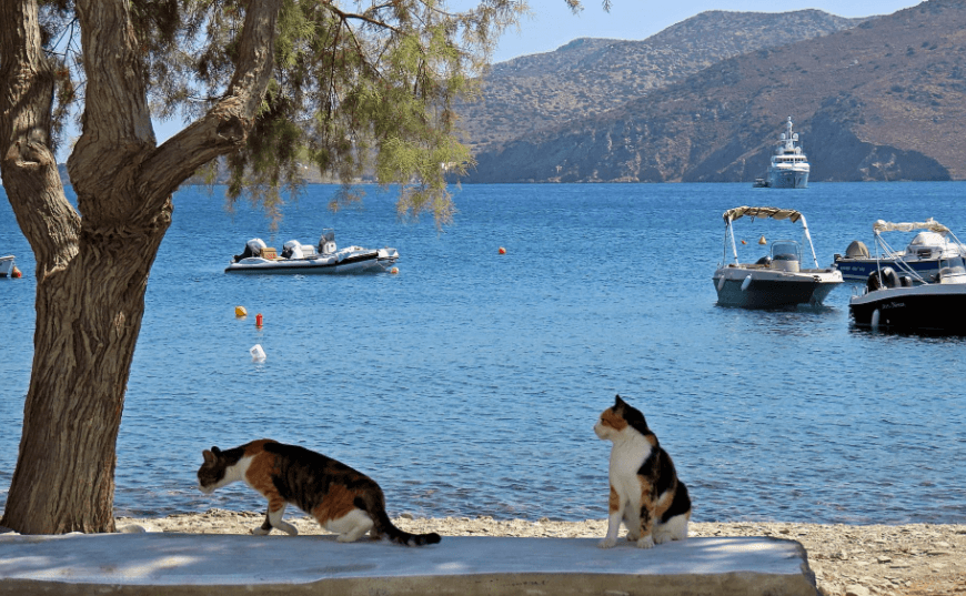 Plaža Livadi na ostrvu Astipalea