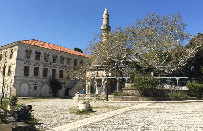 Potomak Hipokratovog platan