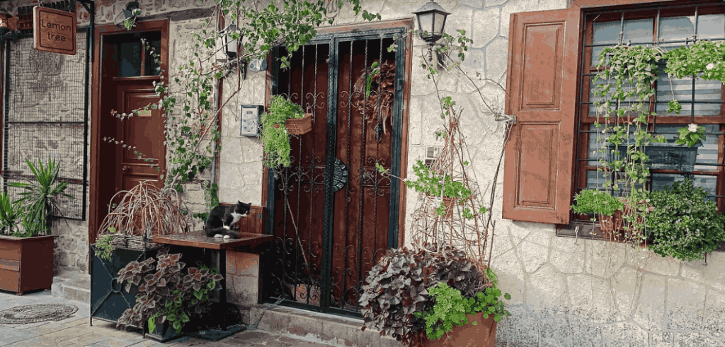 Kaleiči (Stara Antalija) - Istorija