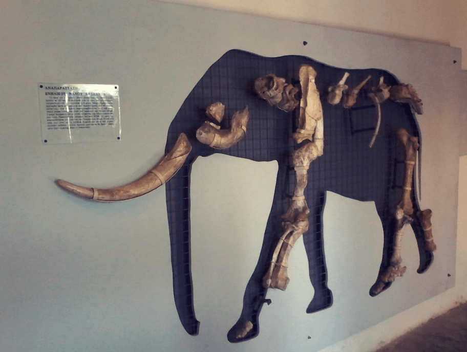 Muzej patuljastih slonova, ostrvo Tilos, Grčka