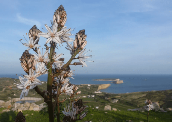  Najbolje znamenitosti i atrakcije - Kastro