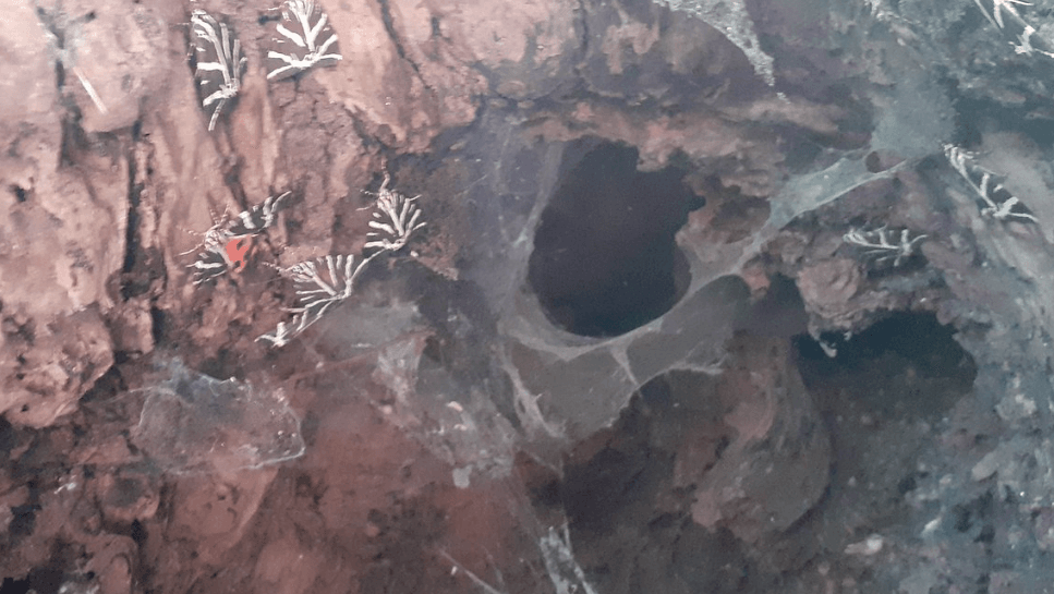 Više o Dolini leptira