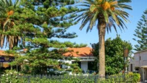 Read more about the article Platanijas – Popularno letovalište u Haniji