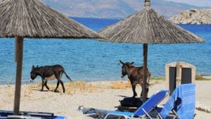 Read more about the article Selo Vlihos (Hidra) – plaža, most Kamaroti i amfiteatar