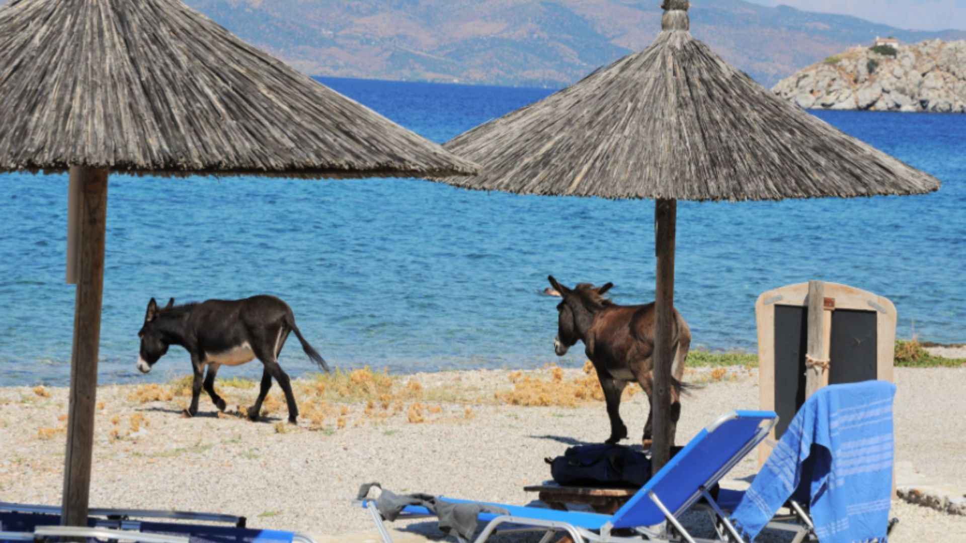 You are currently viewing Selo Vlihos (Hidra) – plaža, most Kamaroti i amfiteatar
