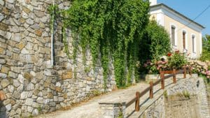 Read more about the article Selo Muresi (Pelion) – trg pod lipama, Damuhari i plaže