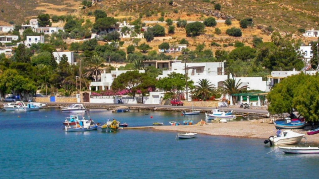 Alinda - Kos 