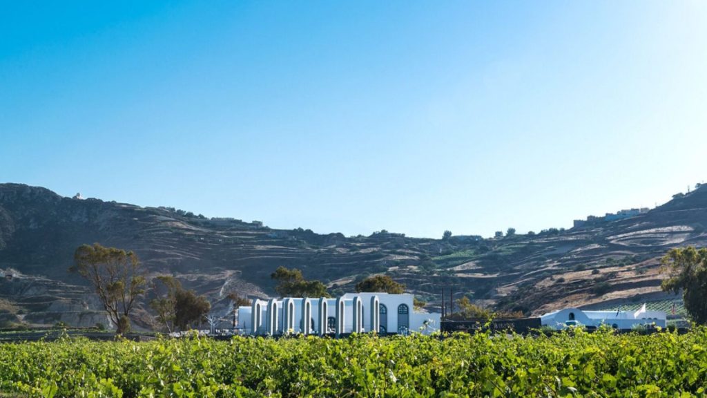 Vinarija Argiros (Estate Argyros)