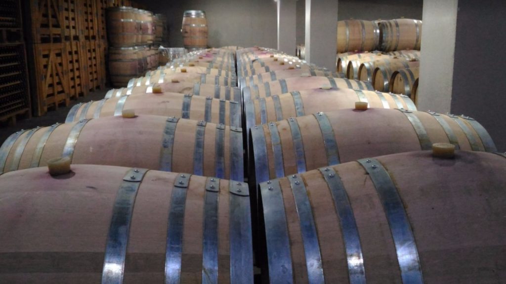 Vinarija Gaja (Gaia Wines) u Nemei