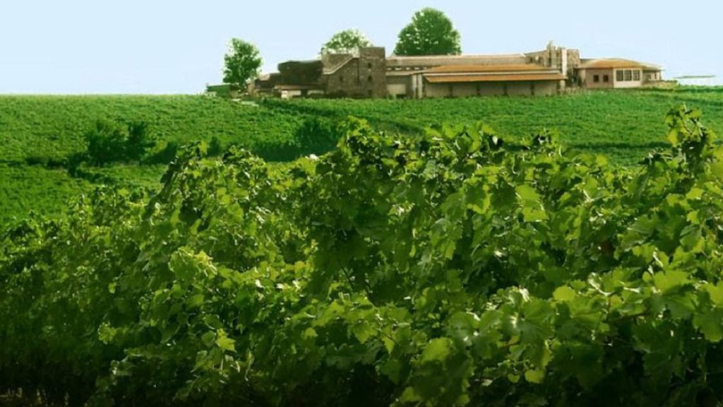 Vinarija Gerovasiliu (Ktima Gerovassiliou) u Epanomiju kod Soluna