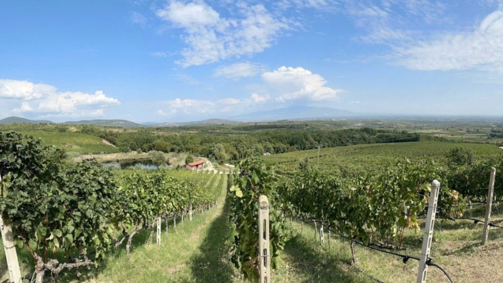 Vinarija Kir-Janis (Kir-Yianni) kod Nause
