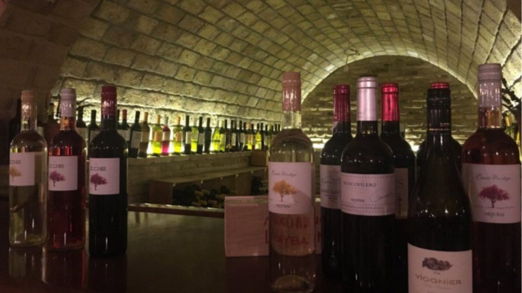 Vinarija Domaine Skouras kod Argosa