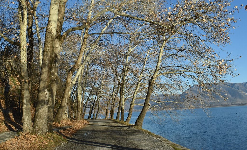 Aleja uz jezero Orestijada u Kastoriji