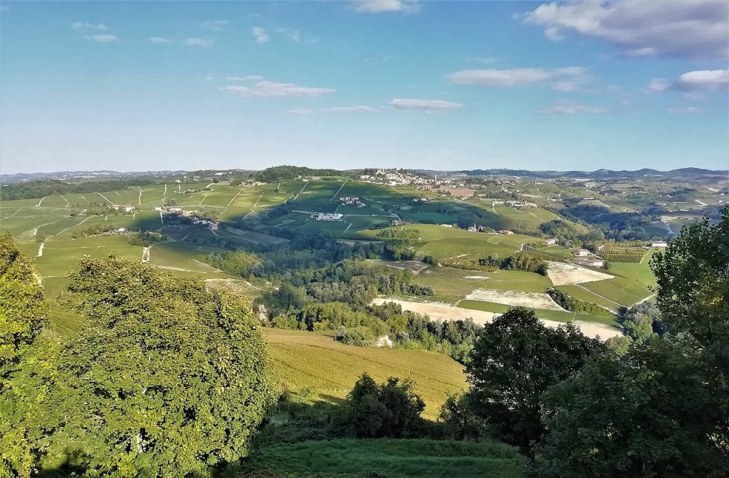 Vinogradi Langhe u Pijemontu
